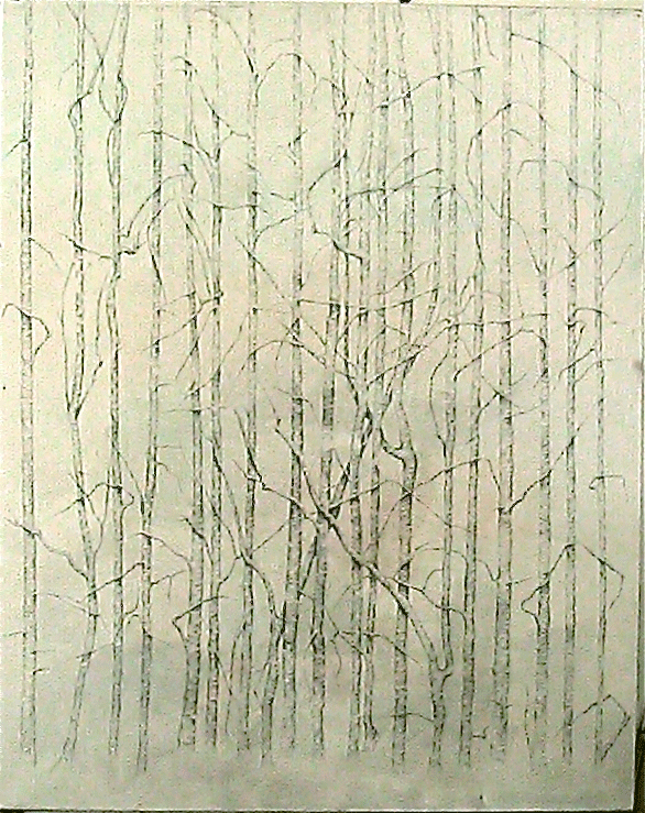 alberi disegnati a grafite su fondo tela effetto madreperla